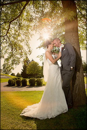 sun flare wedgewood